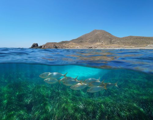 150 ponentes participarán en el Congreso Internacional de Turismo y Economía Azul ‘Sun&Blue’ de Almería