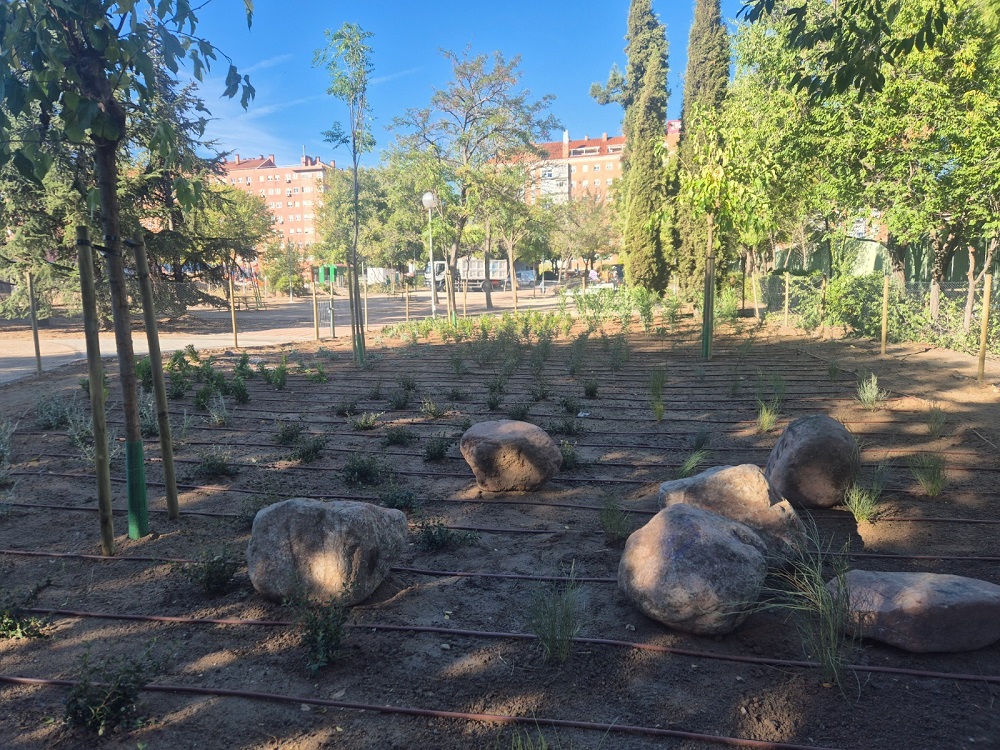 El Ayuntamiento de Madrid completa la transformación de dos nuevas zonas verdes en Villaverde: 244 árboles, 7.000 arbustos y mejor accesibilidad